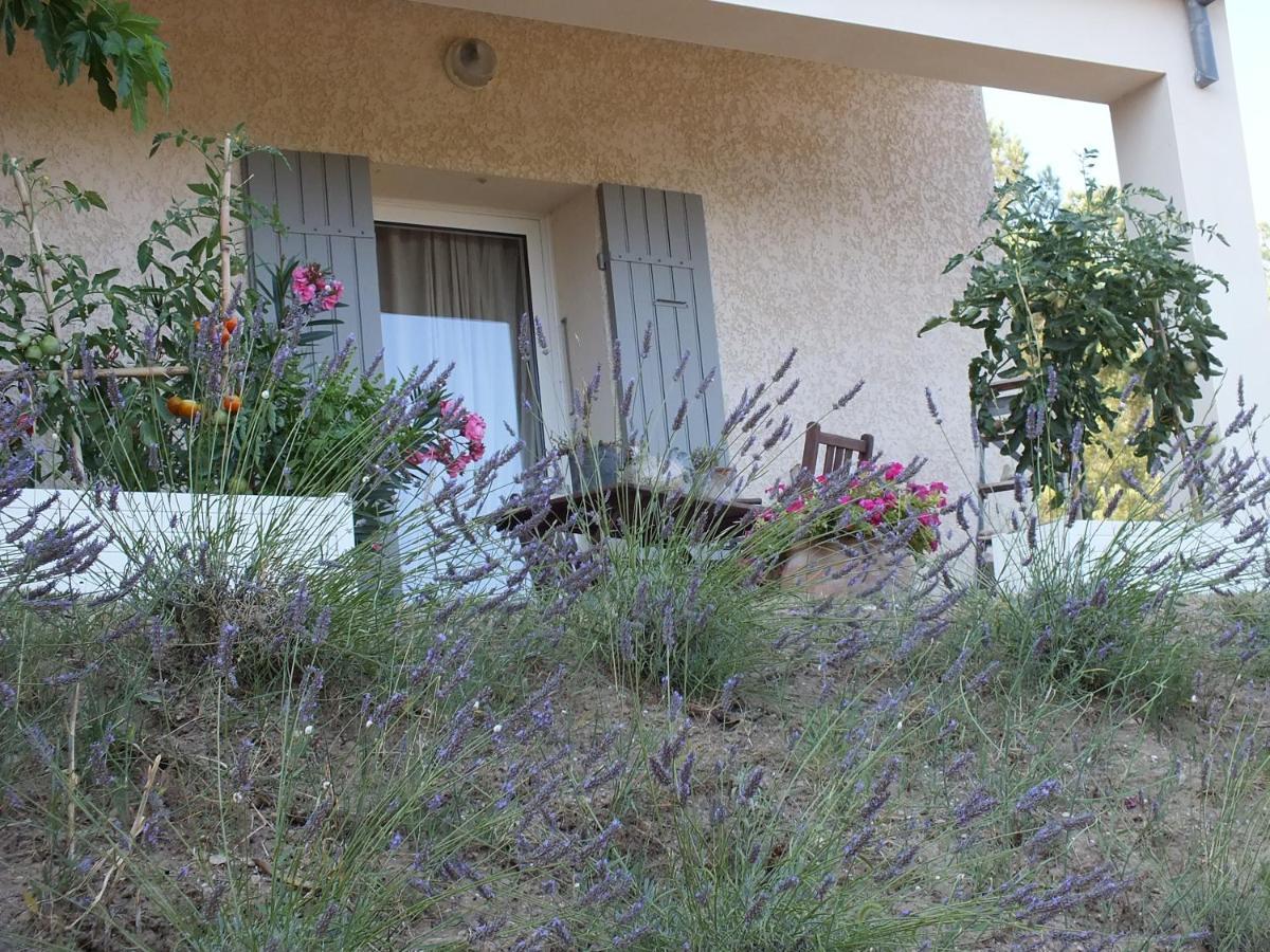 Une Ronce Sous Le Figuier Rousset-les-Vignes Exterior foto